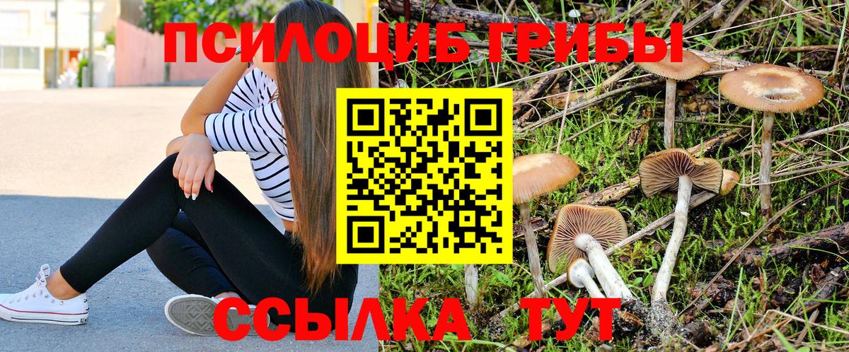Галлюциногенные грибы Psilocybine cubensis Екатеринбург