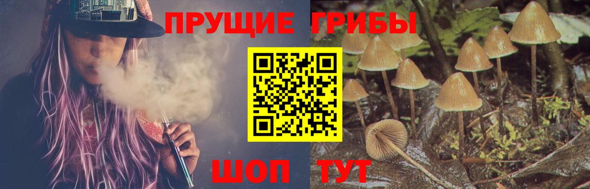 Екатеринбург  Псилоцибиновые грибы Psilocybine cubensis  Вход с VPN  Псилоцибиновые грибы Psilocybe 
